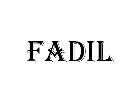 Ắc Quy Xe Vinfast Fadil